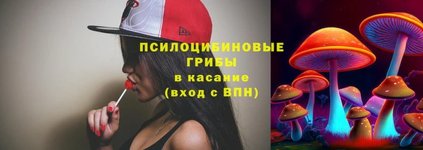 тгк Михайлов